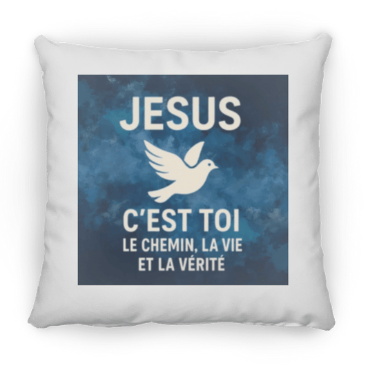 petit coussin ZP14HousewaresGoVibeshop777