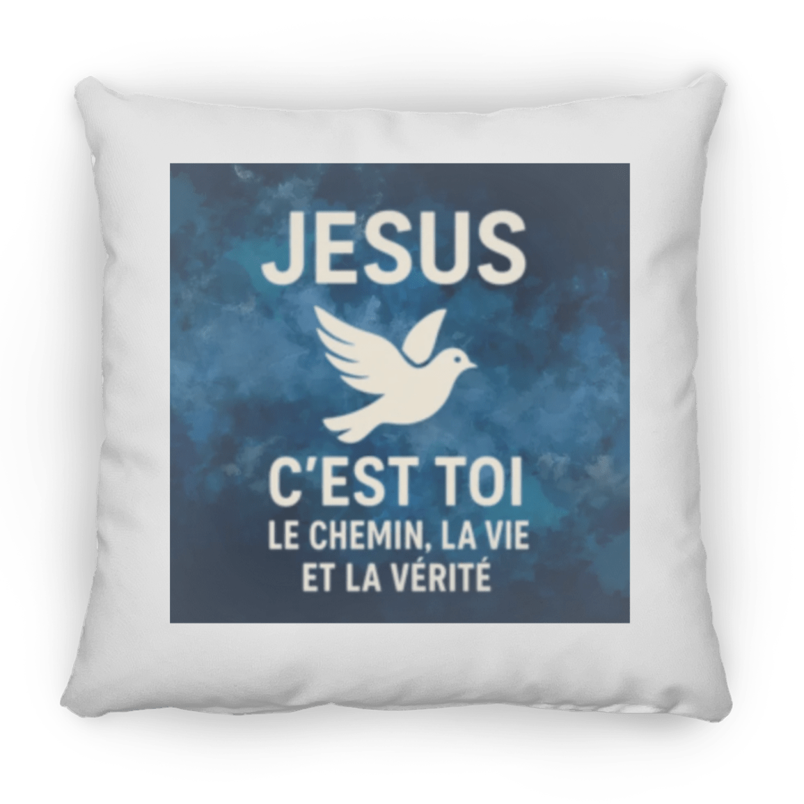 petit coussin ZP14HousewaresGoVibeshop777