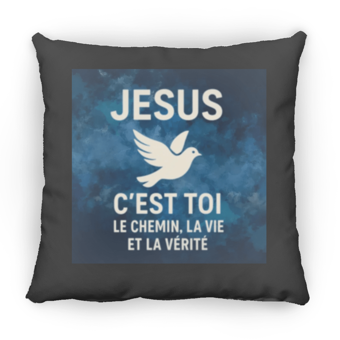 petit coussin ZP14HousewaresGoVibeshop777